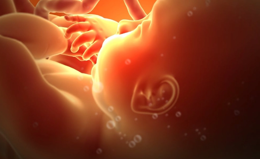 third trimester red flags