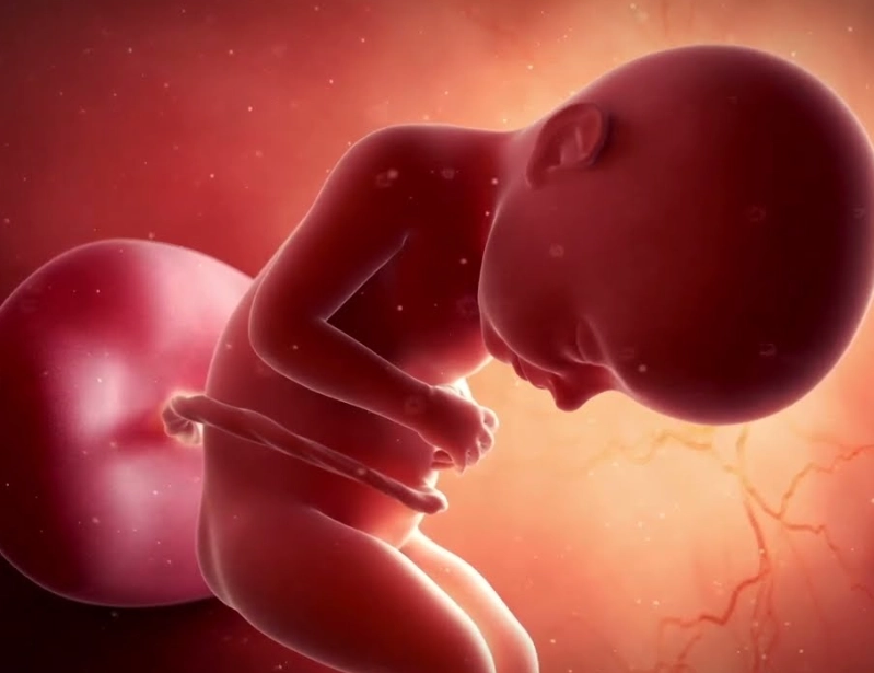 pregnancy warning signs