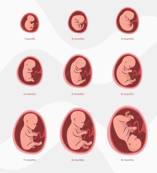 late pregnancy complications