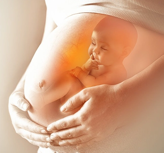 fetal wellbeing indicators