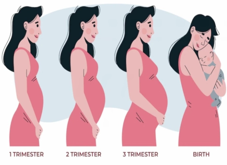 healthy pregnancy signs healthy pregnancy signs