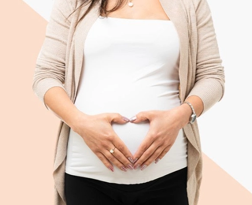 fetal development second trimester