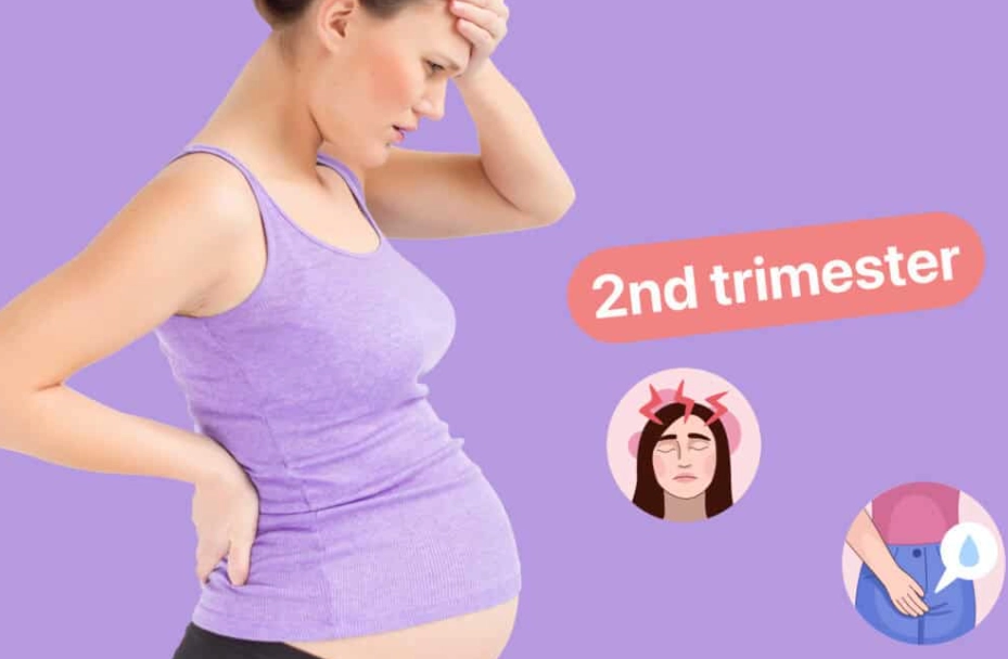 Signs of healthy pregnancy 2nd trimester