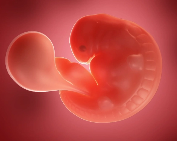 5 weeks pregnant symptoms