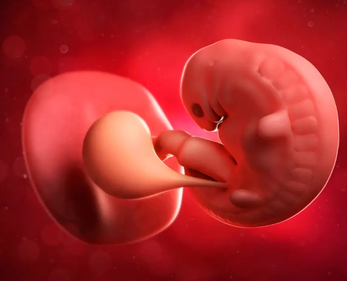 signs of a healthy pregnancy at 5 weeks