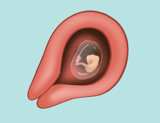 early pregnancy signs week 5