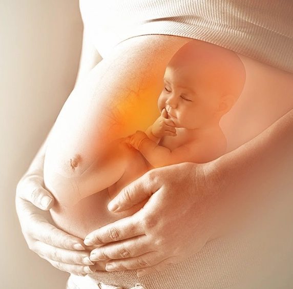 fetal development milestones