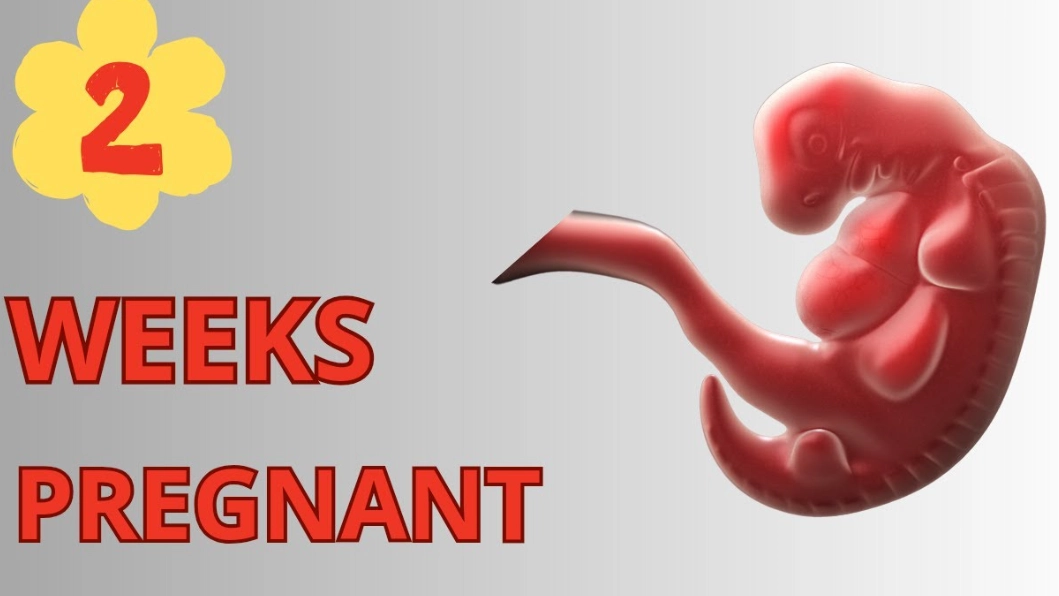 symptoms before missed period symptoms before missed period