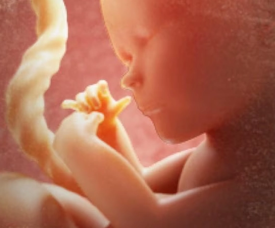 healthy baby in womb signs