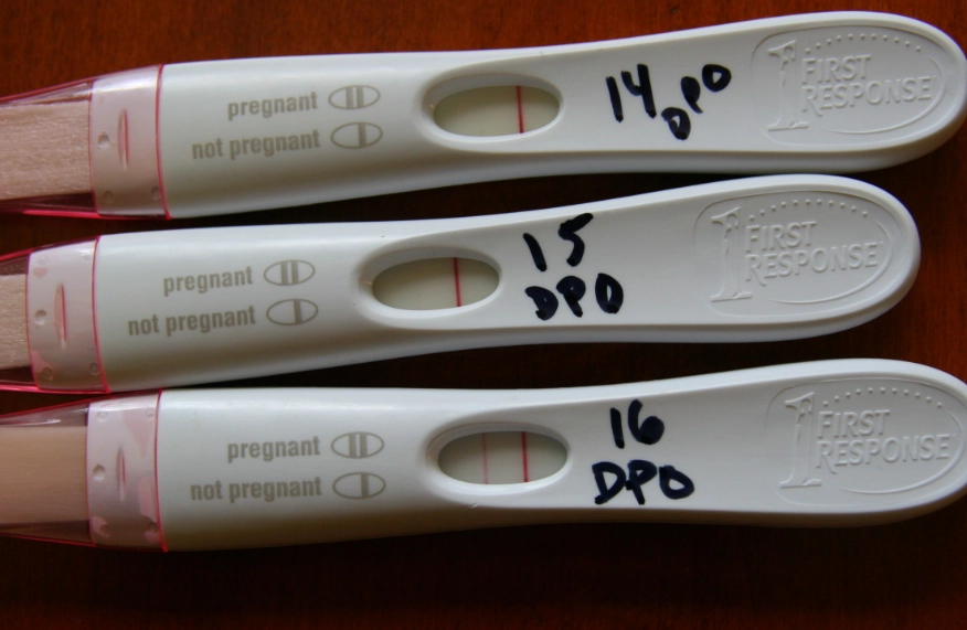 early signs of pregnancy