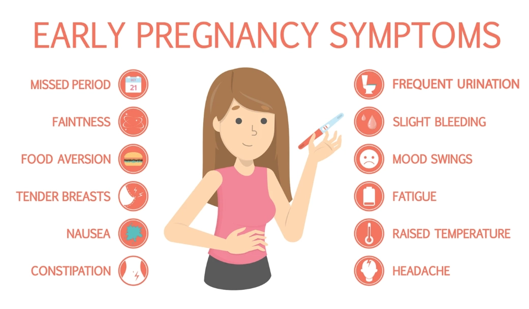 pregnancy symptoms