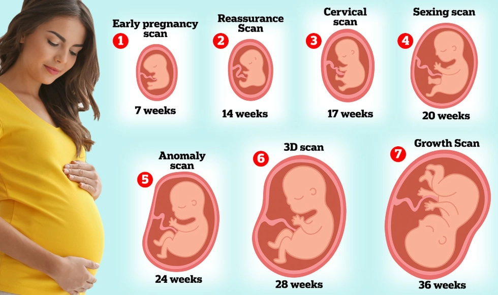 how early can you feel pregnant