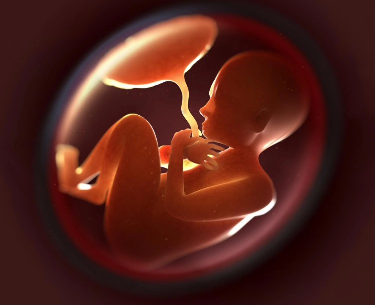 fetal health fetal health