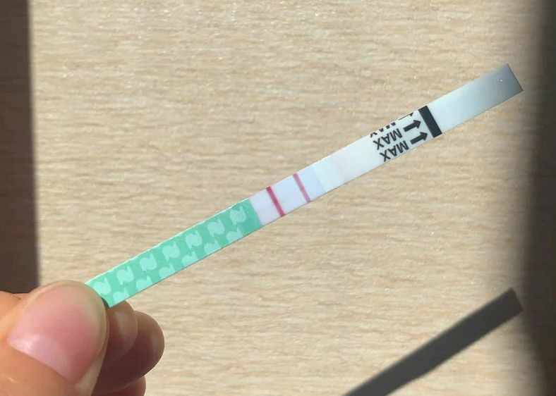 pregnancy mental health pregnancy mental health