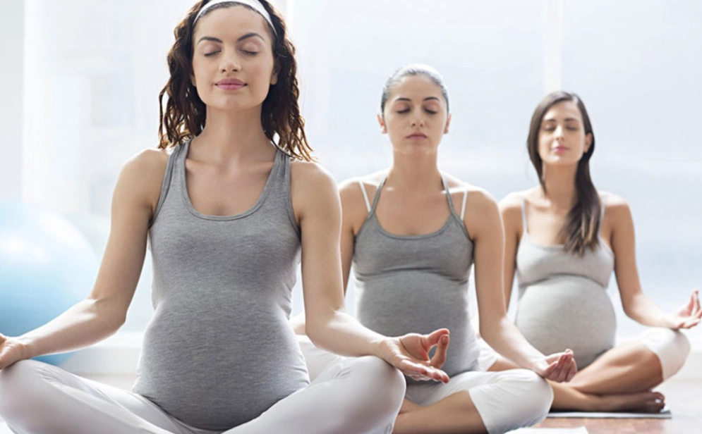 prenatal nutrition prenatal nutrition