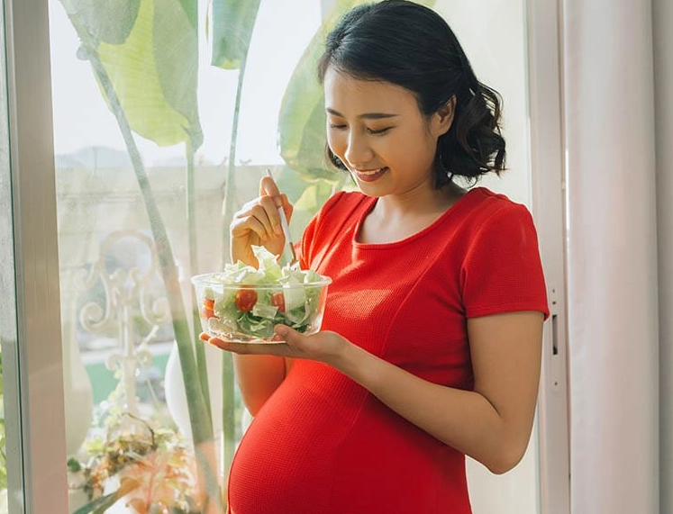 prenatal nutrition prenatal nutrition