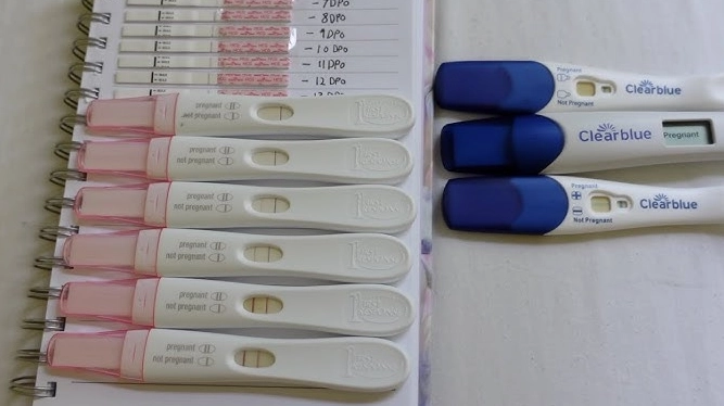 2 weeks pregnant symptoms 2 weeks pregnant symptoms