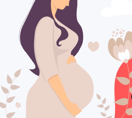 fetal development fetal development