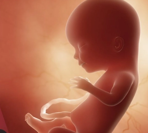 improve baby health in womb