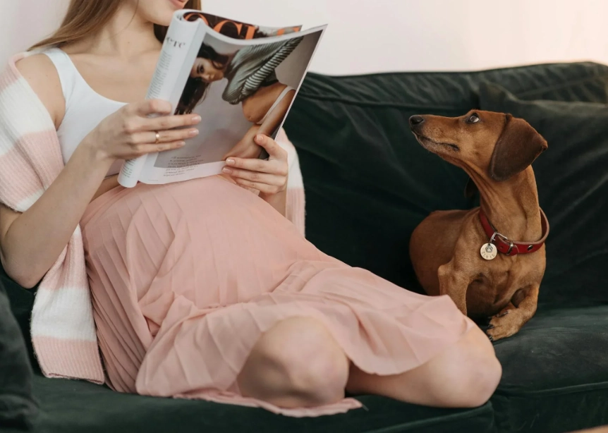 early pregnancy symptoms