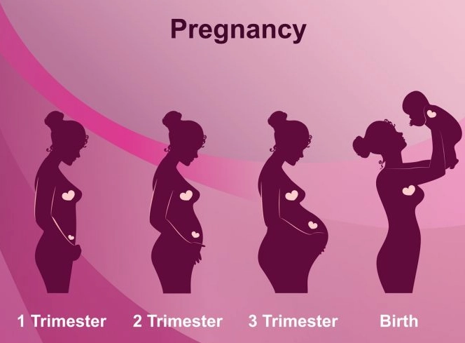 first trimester symptoms first trimester symptoms