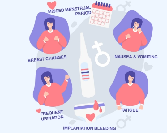 pregnancy symptoms week by week pregnancy symptoms week by week