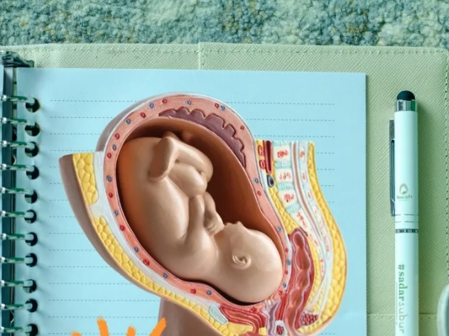 folic acid pregnancy first month