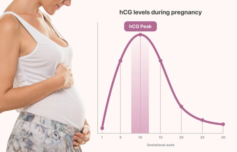 early pregnancy symptoms