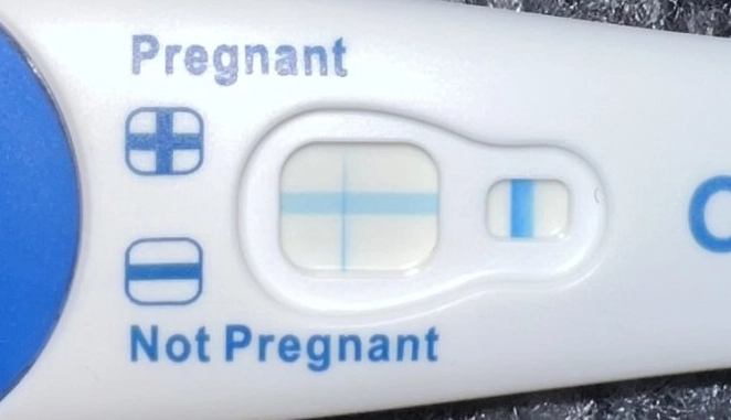 signs of pregnancy by touch signs of pregnancy by touch