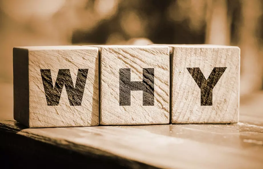 why say pregnant people