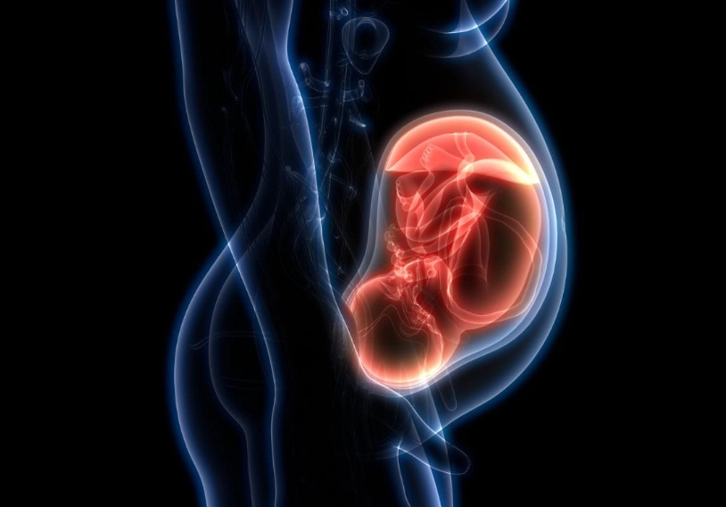 where is baby at 12 weeks ultrasound where is baby at 12 weeks ultrasound