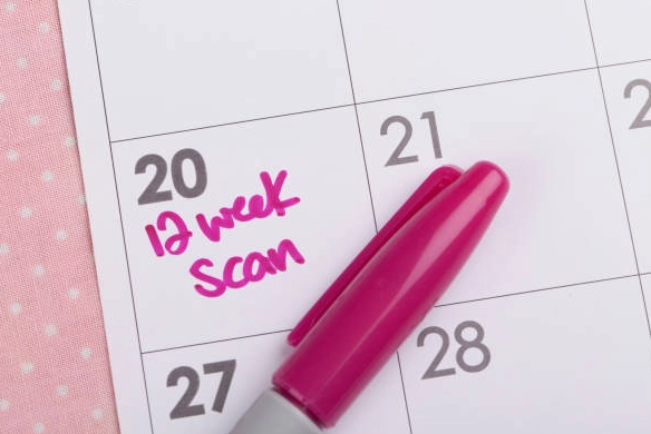 12 week pregnancy milestones