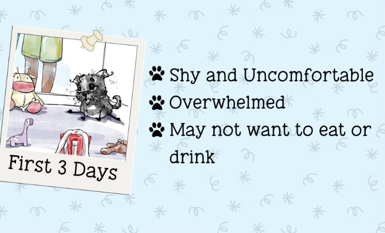 calm down techniques for kids