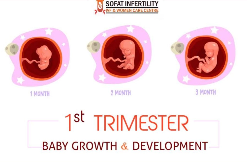 6 weeks pregnant baby size 6 weeks pregnant baby size