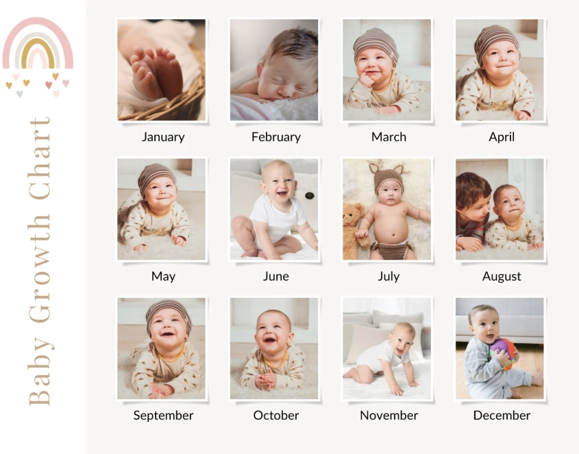 1 to 12 months baby development