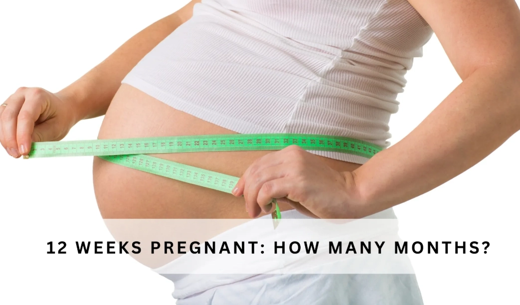 12 weeks pregnant