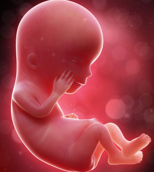 early fetal movement second pregnancy